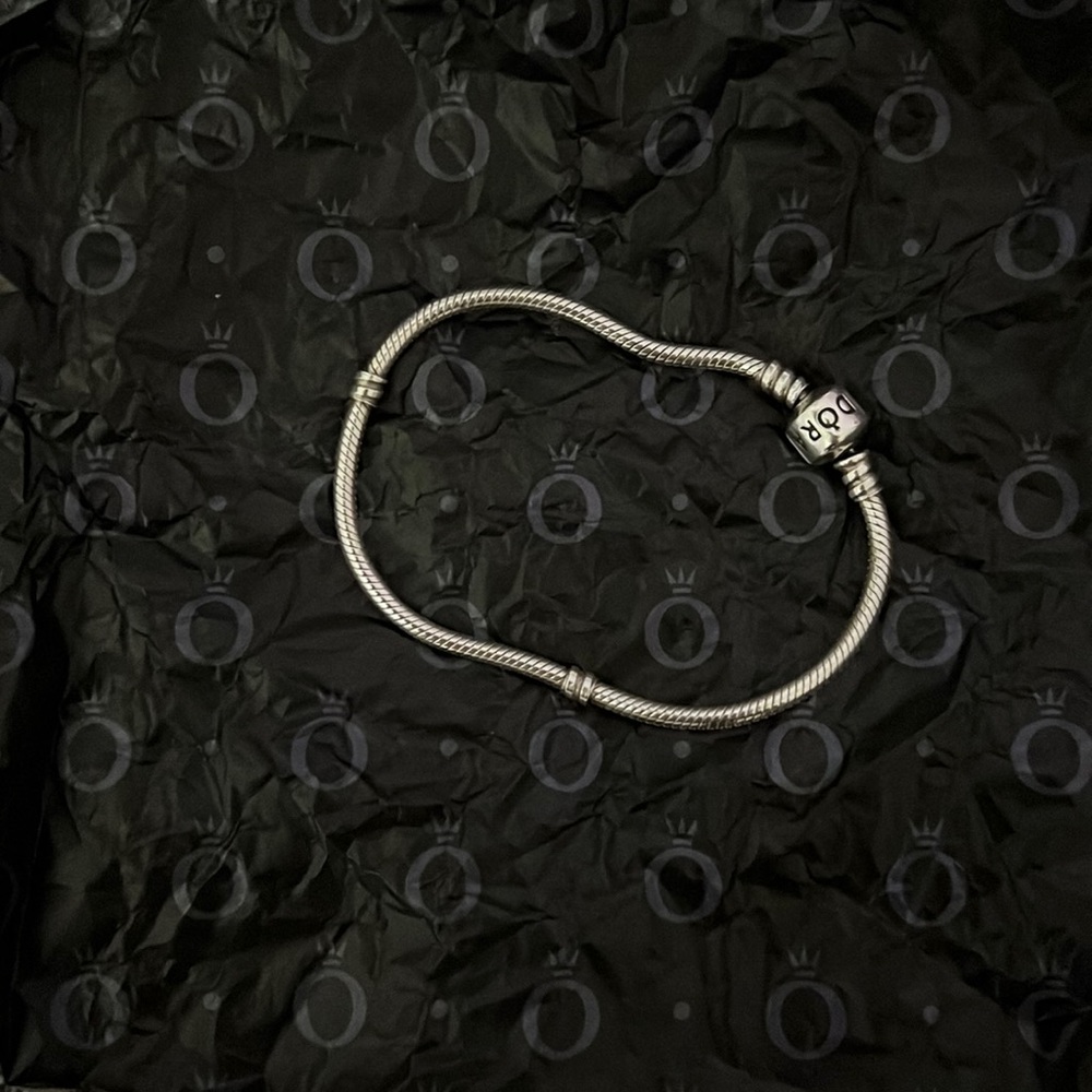 Pandora Charm Bracelet